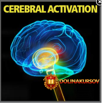 aktivacija-cerebralnogo-korteksa-idoser-2017.24483.jpg
