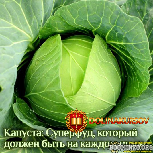 katja-jang-kapusta-superfud-kotoryj-dolzhen-byt-na-kazhdom-stole-2024.84828.jpg