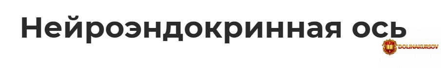 nejroehndokrinnaja-os-sergej-molotkov.467071.jpg