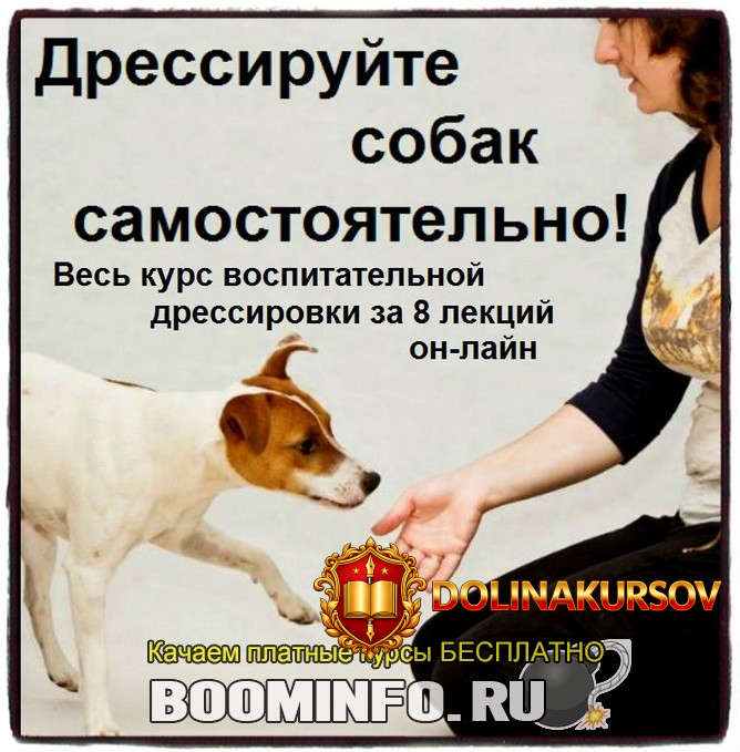 sofja-baskina-dressirujte-sobak-samostojatelno-polnyj-kurs.42835.jpg