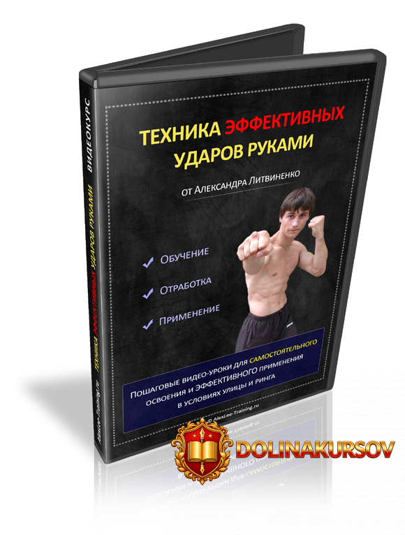 texnika-ehffektivnyx-udarov-rukami-aleksandr-litvinenko-2012.20099.jpg