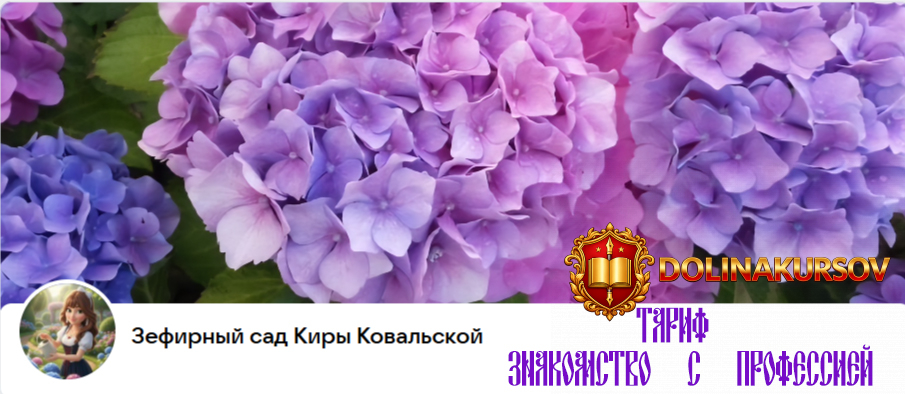 zefirnyj-sad-donatnaja-podpiska-na-mesjac-tarif-znakomstvo-s-professiej-kira-kovalskaja.466182.jpg