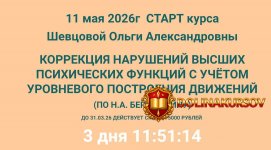 korrekcija-narushenij-vysshix-psixicheskix-funkcij-s-uchetom-urovnevogo-postroenija-dvizhenij-...jpg